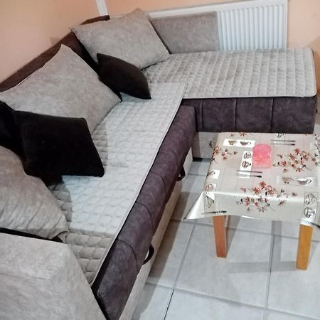 Milica Apartmani Vrdnik Εξωτερικό φωτογραφία