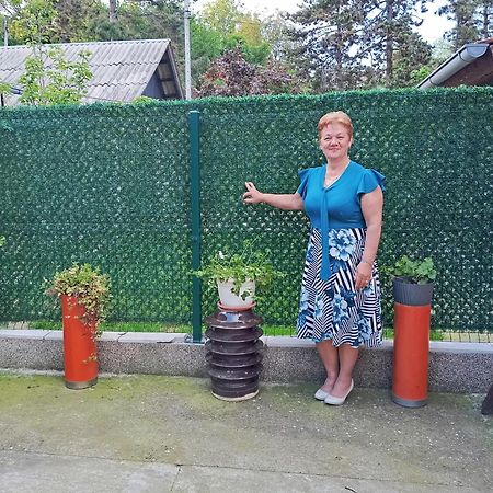 Milica Apartmani Vrdnik Εξωτερικό φωτογραφία