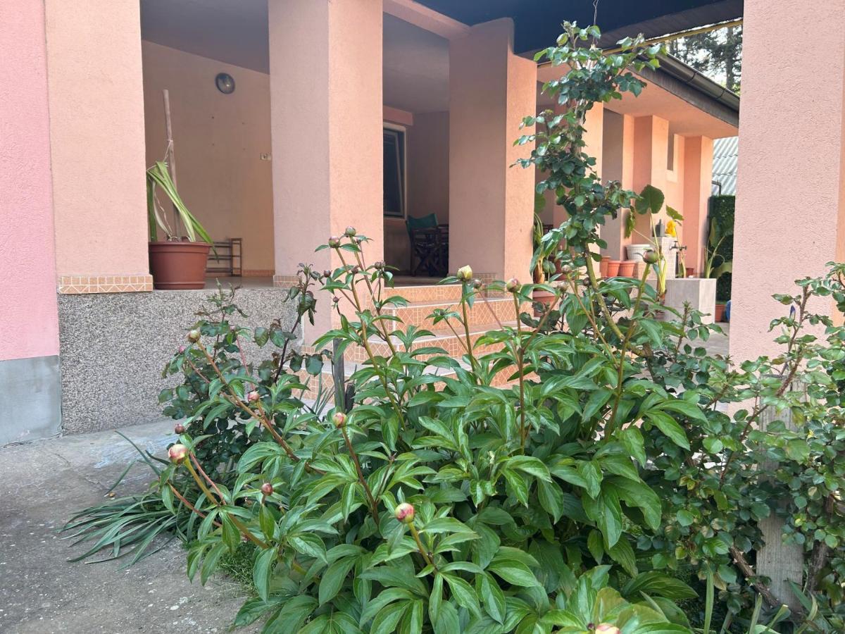 Milica Apartmani Vrdnik Εξωτερικό φωτογραφία