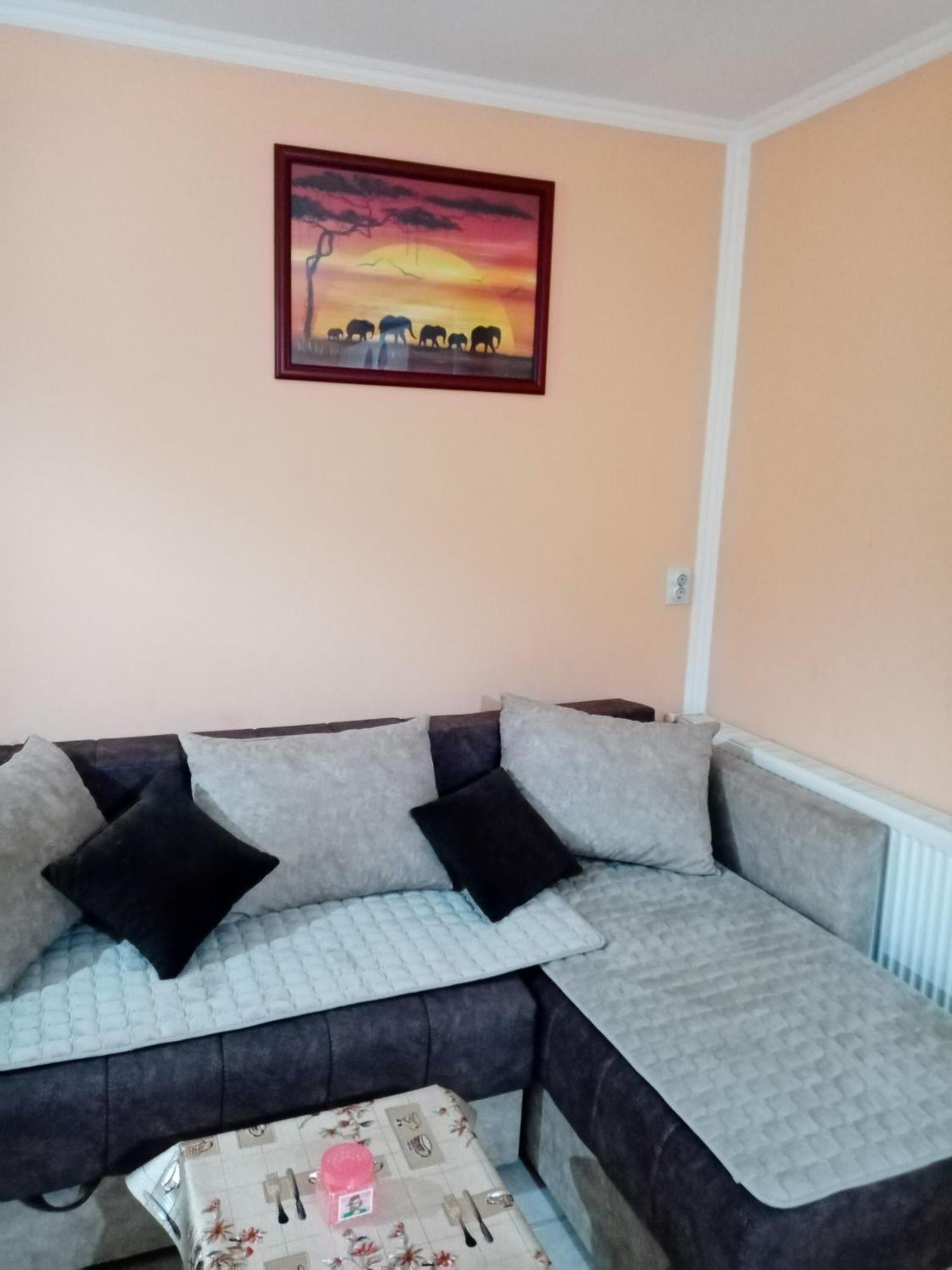 Milica Apartmani Vrdnik Εξωτερικό φωτογραφία