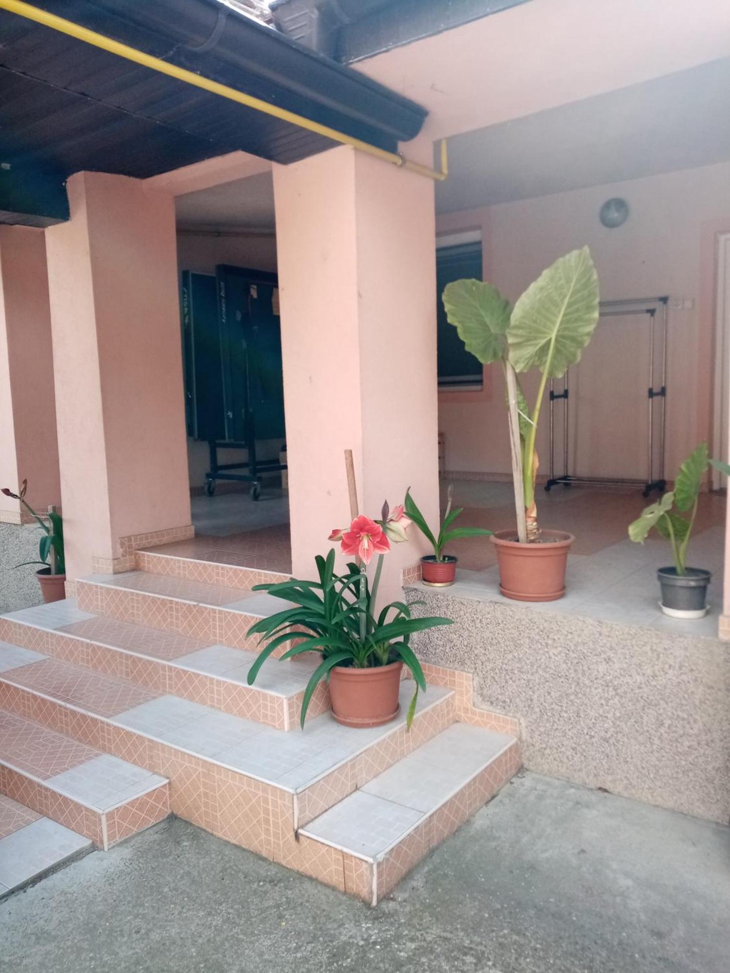 Milica Apartmani Vrdnik Εξωτερικό φωτογραφία