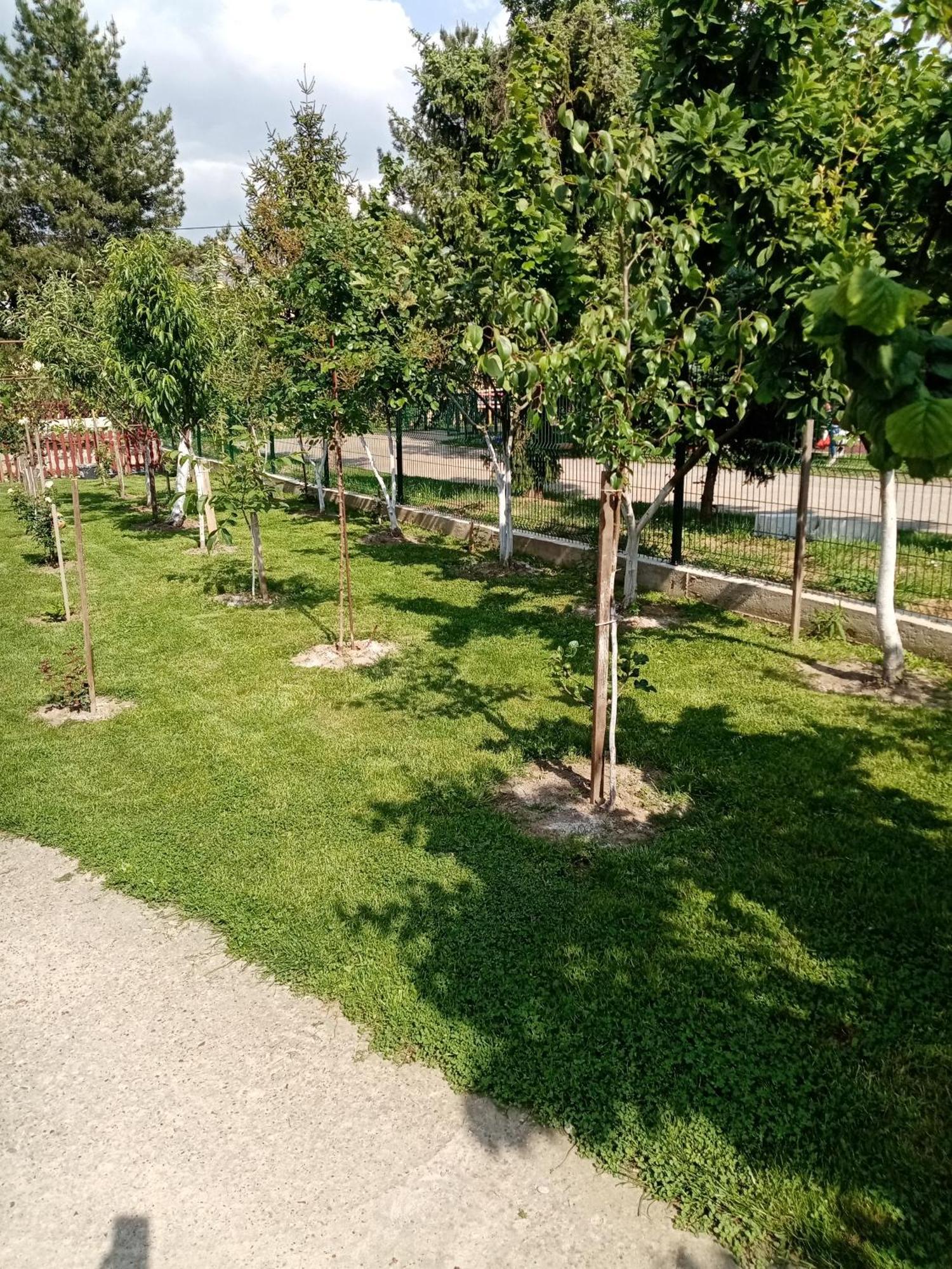 Milica Apartmani Vrdnik Εξωτερικό φωτογραφία