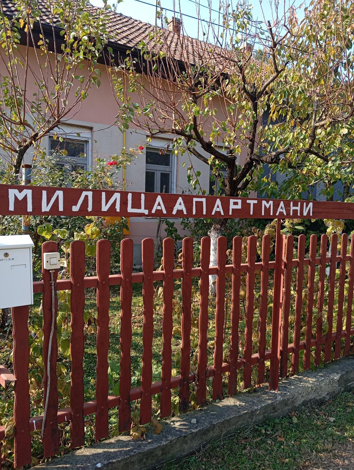 Milica Apartmani Vrdnik Εξωτερικό φωτογραφία
