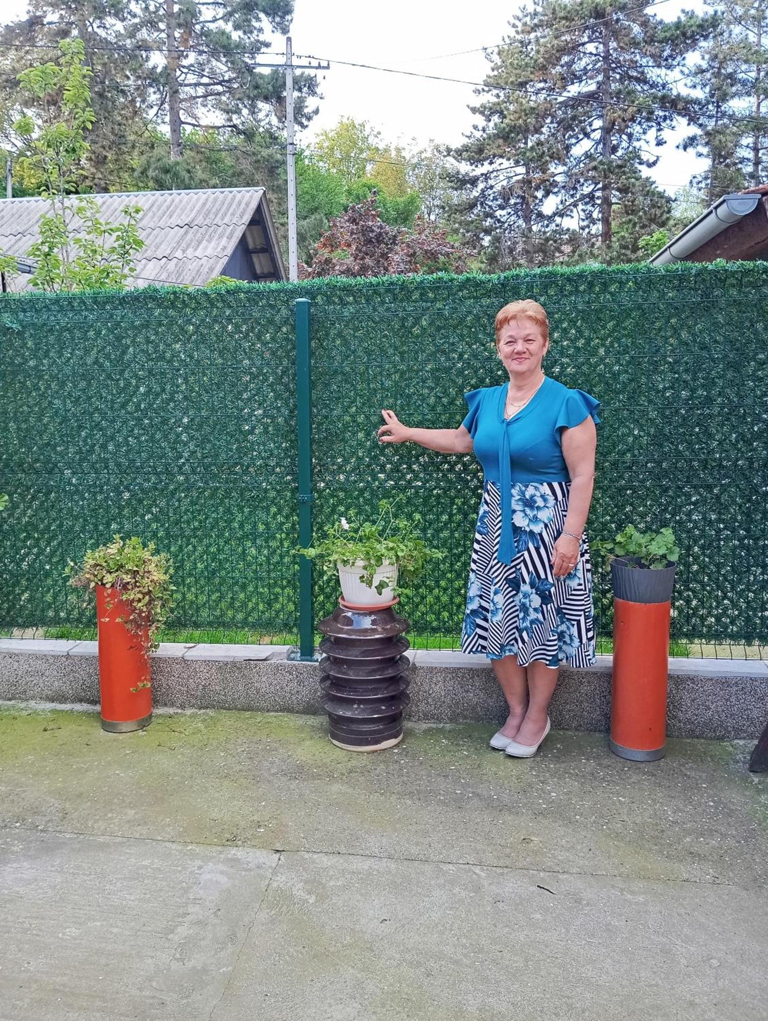 Milica Apartmani Vrdnik Εξωτερικό φωτογραφία