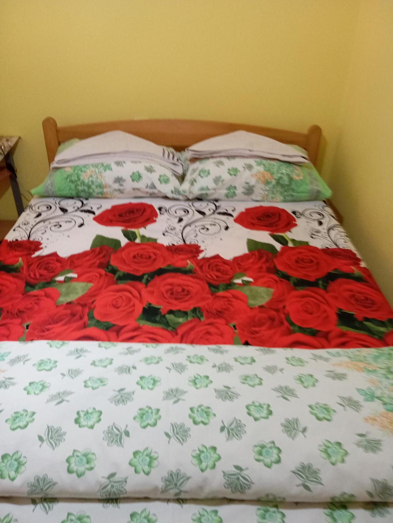Milica Apartmani Vrdnik Εξωτερικό φωτογραφία