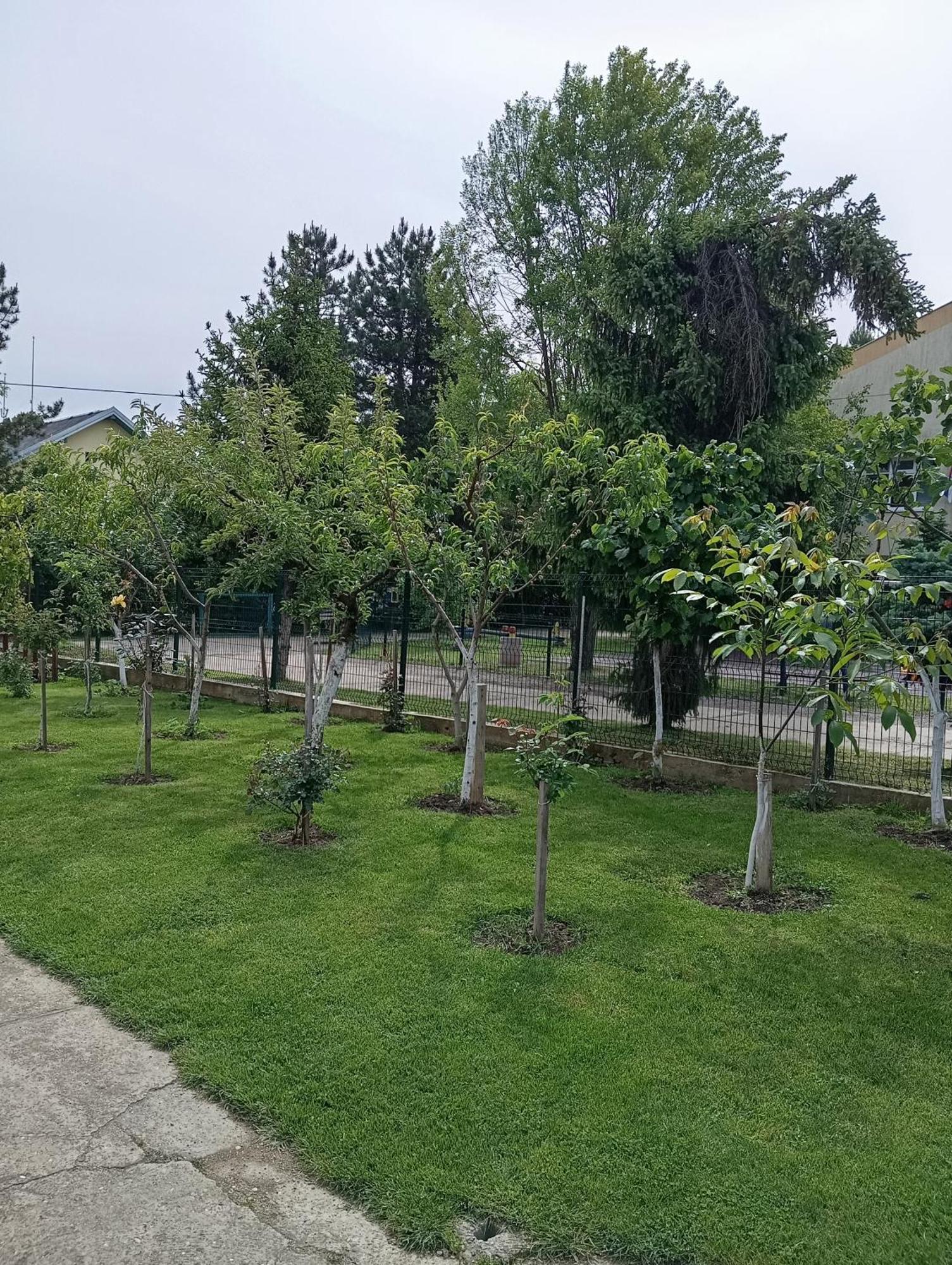 Milica Apartmani Vrdnik Εξωτερικό φωτογραφία